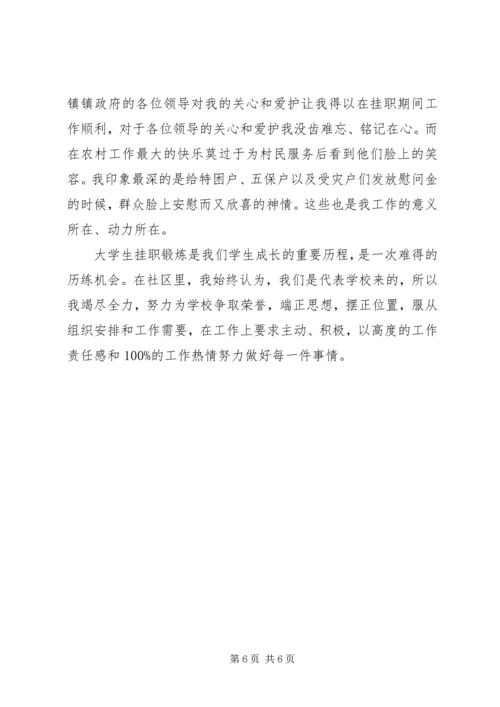 回乡挂职副村长报告 (3).docx