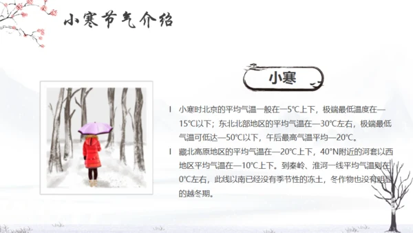 小寒冬天节气通用PPT模版