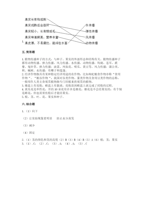 科学四年级下册第一单元植物的生长变化测试卷【易错题】.docx