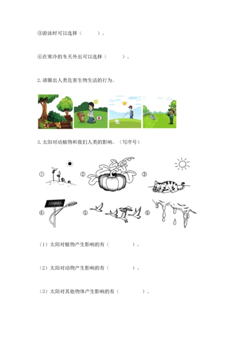 教科版科学二年级上册《期末测试卷》精品【典优】.docx