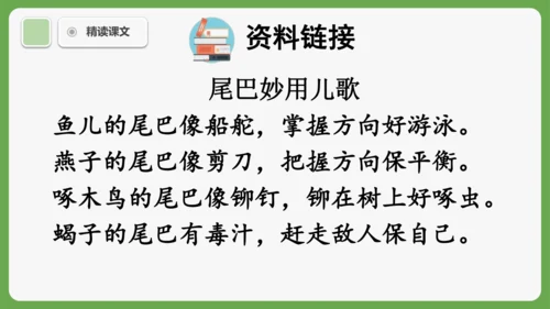 8《比尾巴》课件