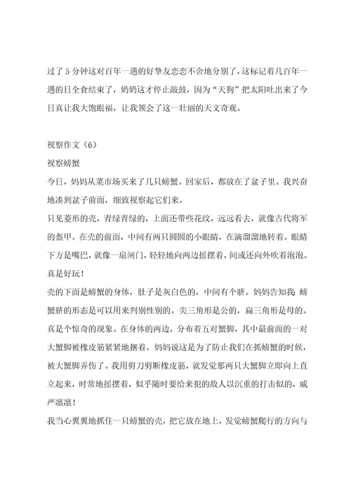 观察作文（精选6篇）作文