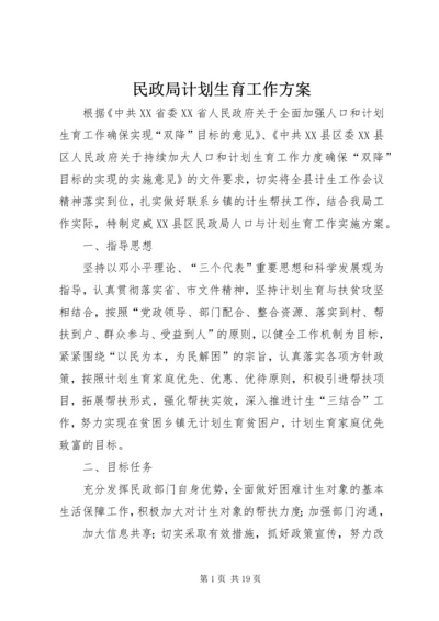 民政局计划生育工作方案.docx