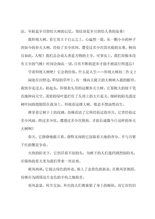 仰望大树初二作文