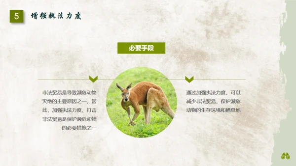 保护濒危野生动物通用PPT模板