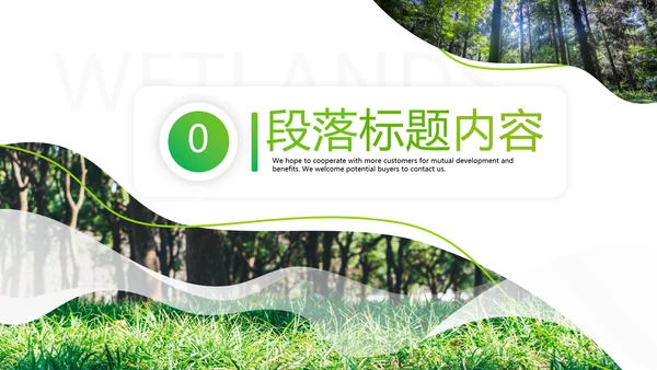 绿色环保森林湿地环境保护生态森林业PPT