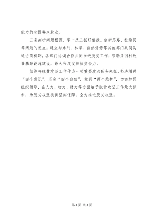 脱贫攻坚反馈意见整改落实方案.docx