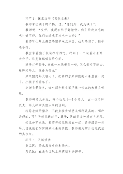 幼儿园大班科学活动教案_13.docx