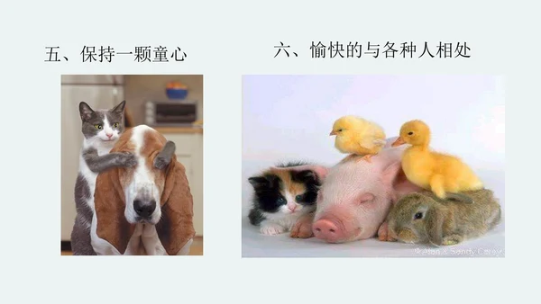 中学生心理健康主题班会PPT模板