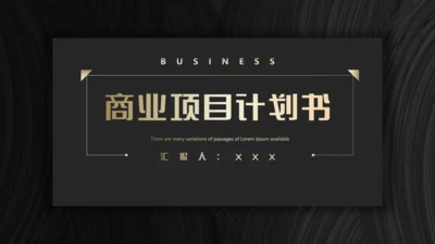 商业项目计划书暗金色实力大气通用PPT模板