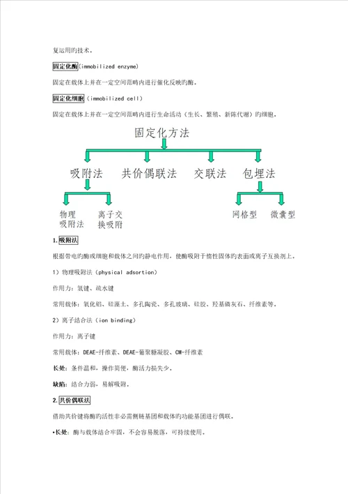 酶关键工程复习材料