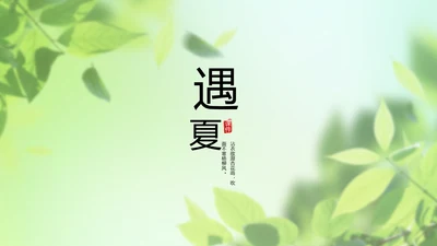 遇夏文艺小清新工作总结汇报动态PPT