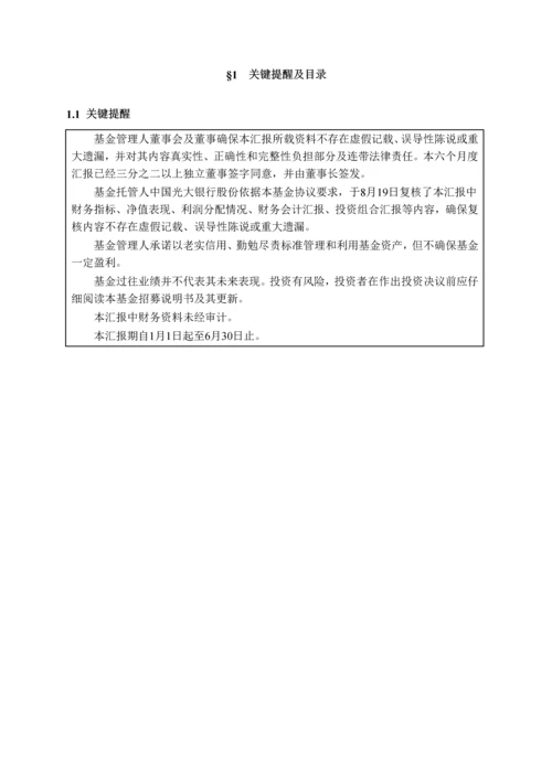 策略精选混合型证券投资基金半年度报告模板.docx