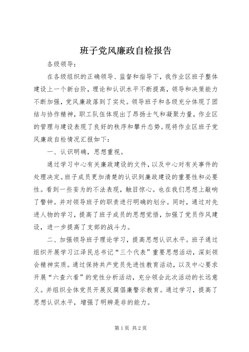 班子党风廉政自检报告.docx