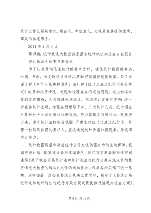 县统计执法检查自查报告.docx