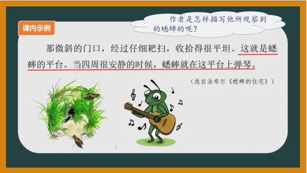 统编版语文四年级上册 第三单元习作：  写观察日记课件