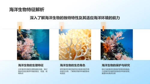 蓝色摄影风海洋生物知识科普PPT模板