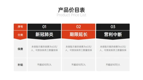 综合保险公司保障计划产品说明会通用PPT模板