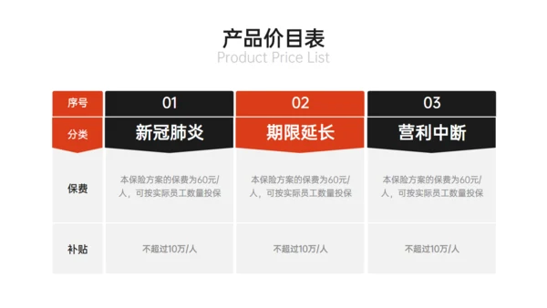 综合保险公司保障计划产品说明会通用PPT模板