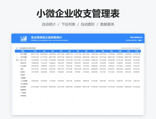 小微企业收支管理表