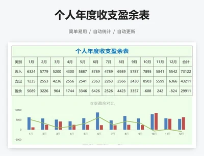 个人年度收支盈余表