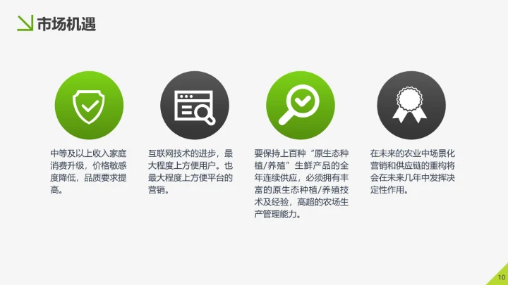 美味生鲜项目运营策划书PPT模板