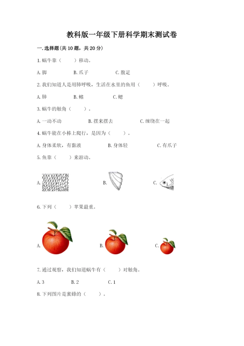 教科版一年级下册科学期末测试卷必考题.docx