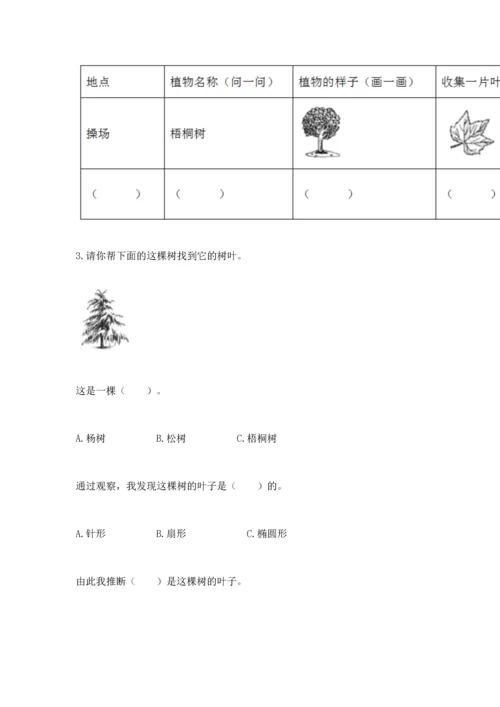 教科版科学一年级上册第一单元《植物》测试卷【研优卷】.docx