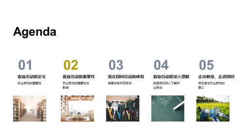农业劳动之美