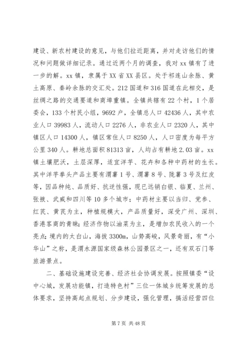 乡镇挂职调研报告.docx