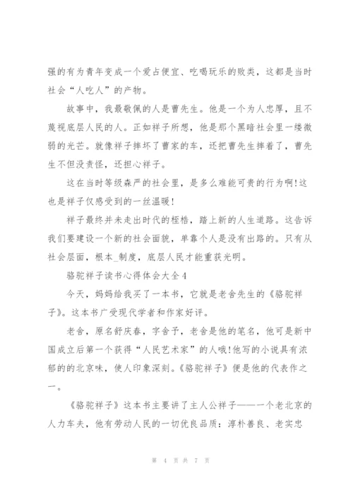 骆驼祥子读书心得体会大全.docx
