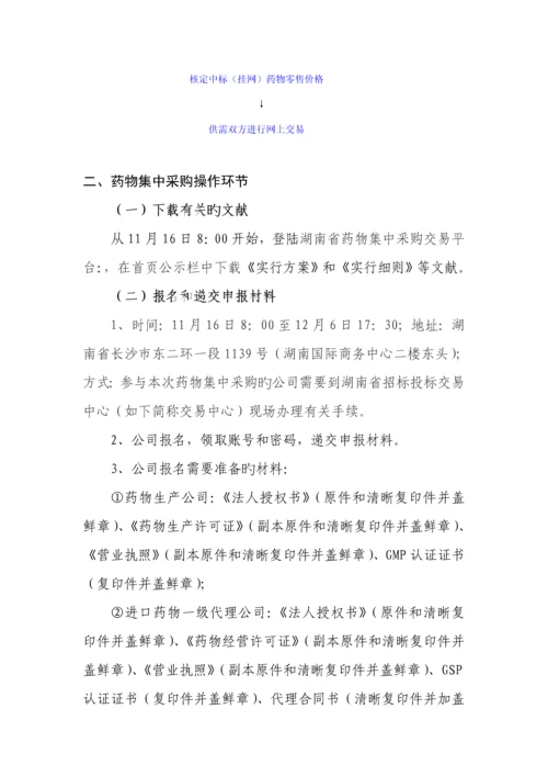 湖南省公立医疗机构网上药品集中采购实施标准细则.docx