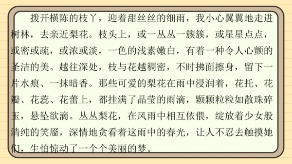 统编版语文五年级上册主题五　自然风光 阅读与写作指导   课件
