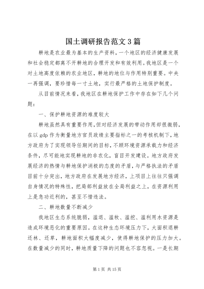 国土调研报告范文3篇.docx