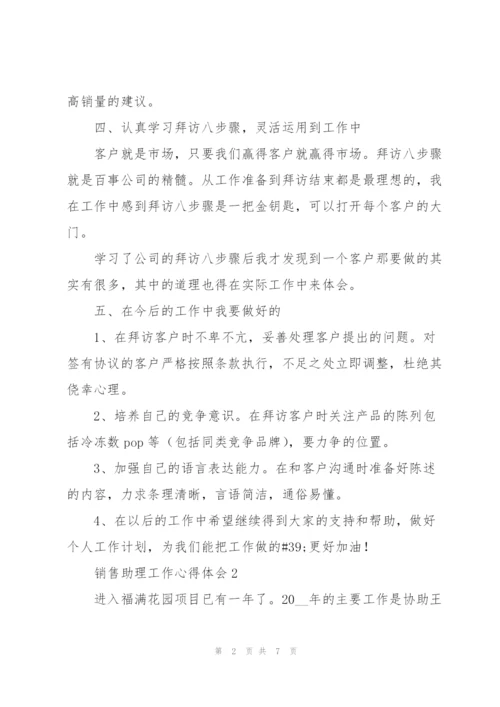 销售助理工作心得体会范文.docx