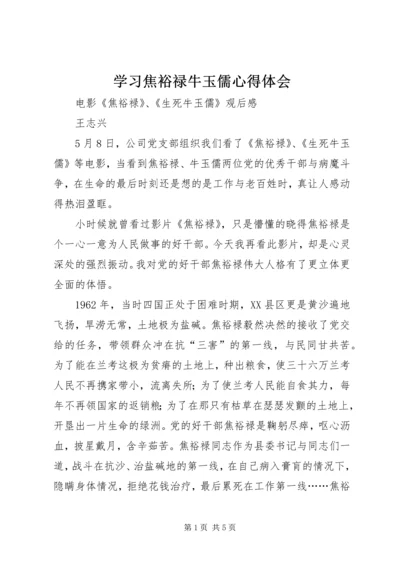 学习焦裕禄牛玉儒心得体会 (2).docx