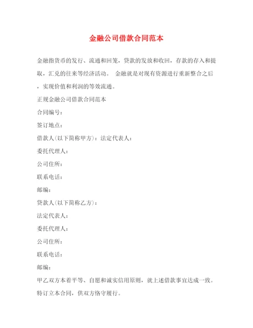 2023年金融公司借款合同范本.docx