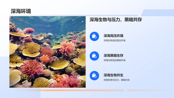 蓝色摄影风海洋生物知识科普PPT模板