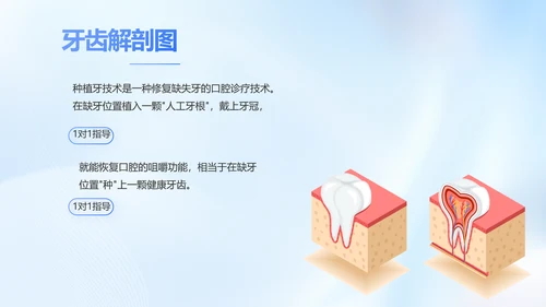 蓝色简约牙科工作总结汇报开展计划PPT