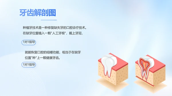 蓝色简约牙科工作总结汇报开展计划PPT
