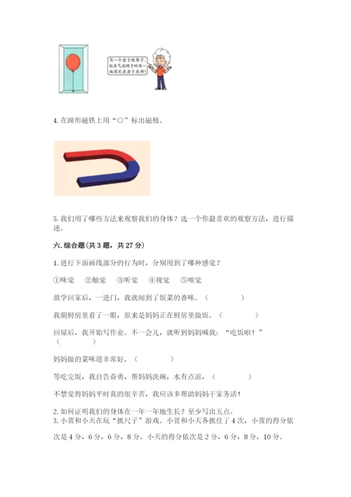 教科版二年级下册科学期末测试卷【精华版】.docx