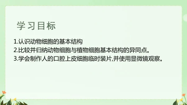人教版（2024）七年级上册1.2.3 动物细胞 课件(共26张PPT)