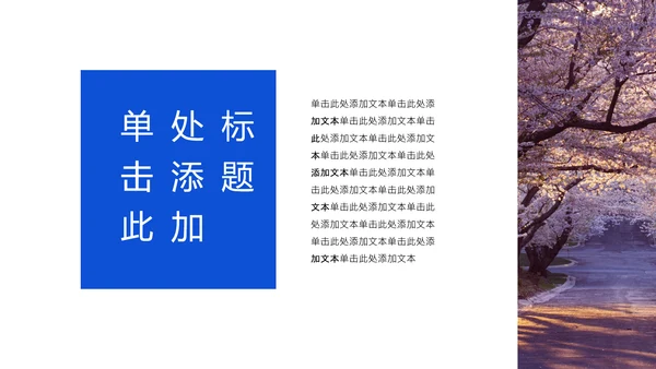 蓝色极简风赏樱攻略