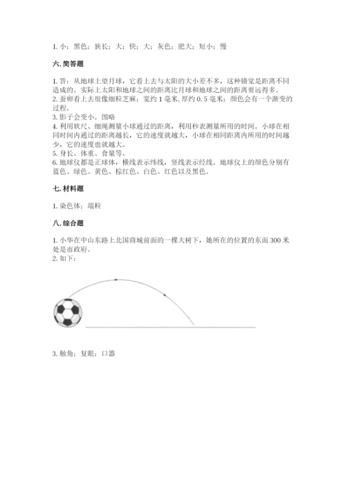 教科版小学科学三年级下册期末测试卷学生专用.docx