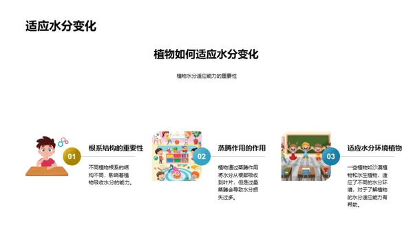 揭秘植物生长之旅