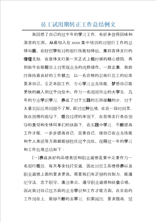 员工试用期转正工作总结例文