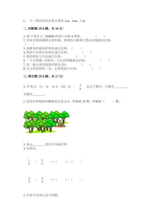 小学六年级下册数学期末卷（考点精练）.docx