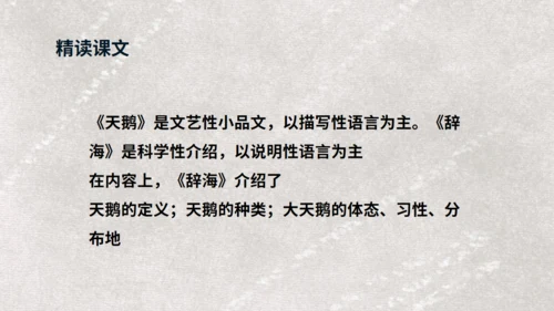 《天鹅》布丰天鹅湖通用PPT课件