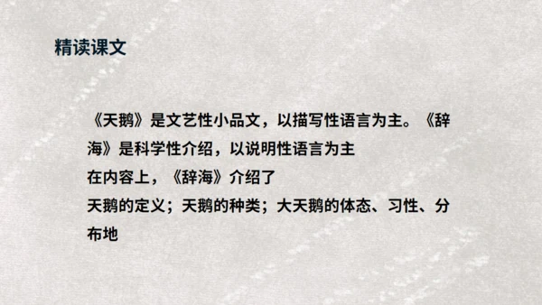 《天鹅》布丰天鹅湖通用PPT课件