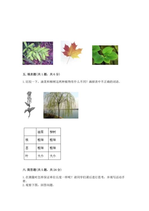教科版科学一年级上册期末测试卷【考点精练】.docx